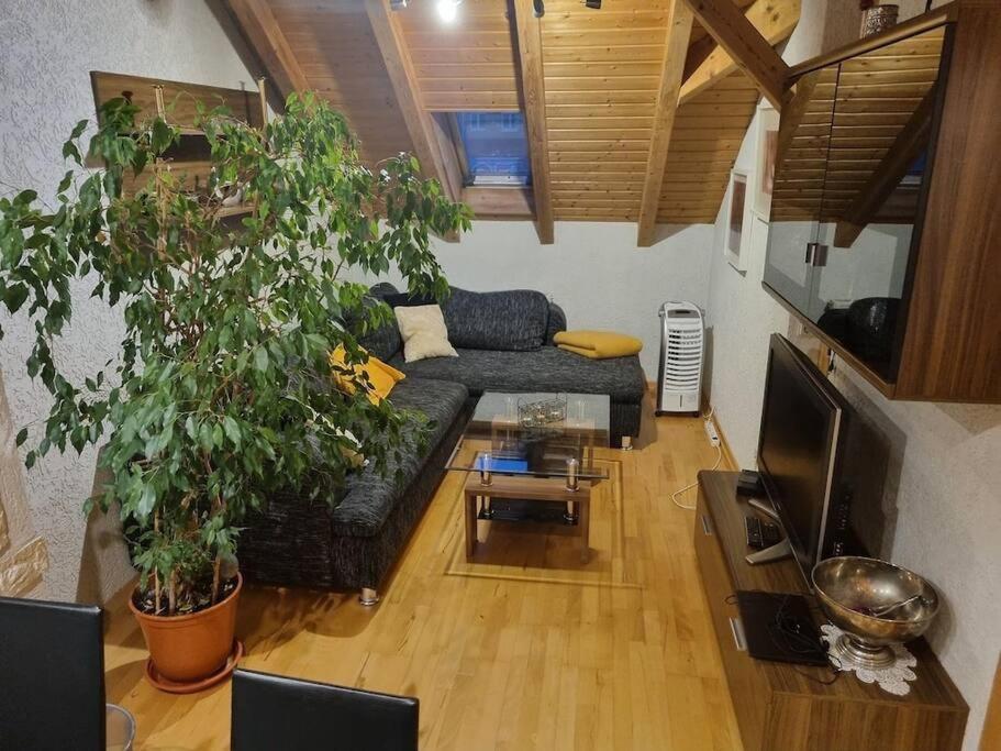 ארפורט Gemuetliche Dachgeschosswohnung מראה חיצוני תמונה
